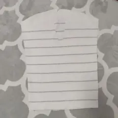 PLST　ボーダートップス