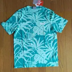 Item thumbnail for item 816b2f7e-327e-4f22-956c-696deebe4893