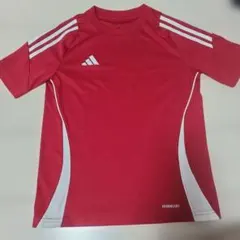 Item thumbnail for item e99b2388-e2b7-4c71-b35e-335f1c4af162