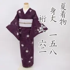 【夏着物】絽＊小紋 芝文に楓取り吉祥模様 普段着 正絹 街着に7KP118
