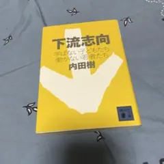 下流志向 学ばない子どもたち 働かない若者たち