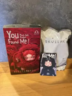SKULLPANDA You Found Me!