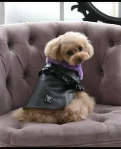 ANNA SUI/フェイクレザーポンチョのサムネイル