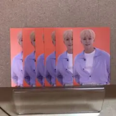 セブチ　カラットランド　ケレン　トレカ　スングァン