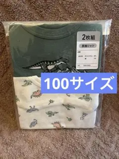 新品未開封　恐竜のデザインがプリントされた子供用の長袖シャツ2枚組セット