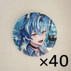 クロノヴァ しゃるろ 缶バッジ 24個セット - メルカリ