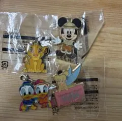 東京ディズニーリゾート アブールバザール ストラップ ピンバッジ 4種セット