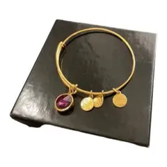 ALEX AND ANI ピンクストーン ゴールドブレスレット