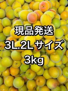 最高の木熟‼️和歌山県産 紅南高梅 3Lサイズ 2kg みかんキング - メルカリ