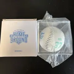 TWICE ミナ HOME9ROUND popup ペンミ ベースボール 本体