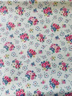 Item thumbnail for item 65d67ee5-724b-4c96-9386-666939e4be69