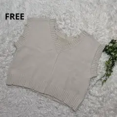 Vネック ノースリーブニット　ベスト　アイボリー　FREE