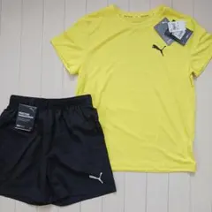 PUMAプーマ、トレーニングウェア、セットアップ、上下セット新品★サイズ150