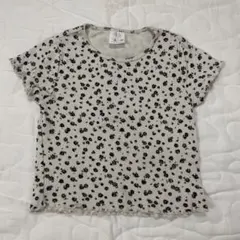 Item thumbnail for item 780f3227-986b-41fd-9b32-9eeb12d85833