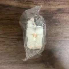 すきまハムスター ゴールデンドミナントスポット