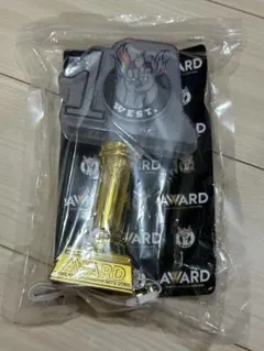 AWARD ペンライト
