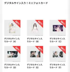 FRUITS ZIPPER 松本かれん 生誕2025 ミニフォトカード ラッフル