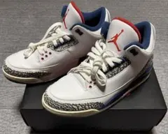 ナイキ AIR JORDAN 3 RETRO OG 29cm TRUE BLUE