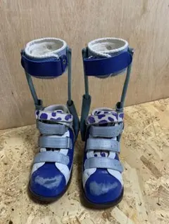 Item thumbnail for item 6e8068e7-46aa-488c-b951-6bc5b17c0897