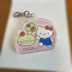 ⭐︎なんでもいきもの✖️サンリオ　こじま✖️ハローキティ　ポイントアクリルチャーム⭐︎