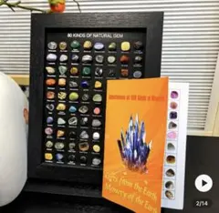 新品 鉱物標本 額縁 木製 天然石 コレクション 宝石 フレーム 水晶