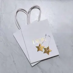 DIOR ホワイトショップ袋 2枚セット