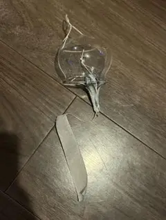 うつわのしごと　風鈴