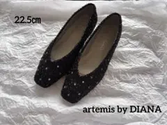 artemis by DIANA ビジューデザイン　シャギーフラットシューズのサムネイル