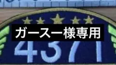 ガースー様専用