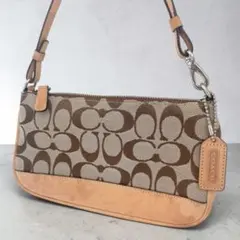 COACH ワンショルダー アクセサリーポーチ 6094