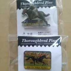 まねき馬　トウカイテイオー&エイシンプレストン　競走馬ピンズセット2点②