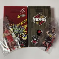 市川健太選手 レザーキーホルダー+アクスタセット - メルカリ