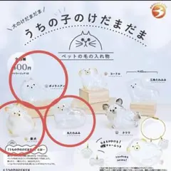 うちの子のけだまだま 犬