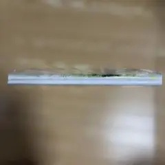 コミケ108 シロ B2タペストリー ハル ノゲノラ ノーゲーム タペストリー