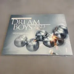 DREAM BOYS 2023 パンフレット 渡辺翔太＆森本 慎太郎