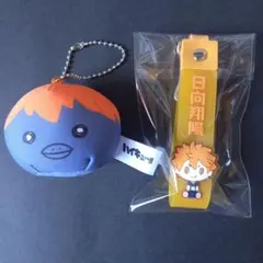 ハイキュー 日向飛陽 一番くじ ぽこっとちゃーむ キーホルダー 動物マスコット