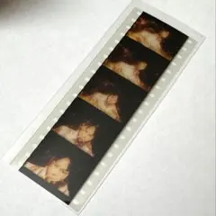 ゴールデンカムイ DVD 第十四巻 初回特典 ランダムフィルムコマ 尾形百