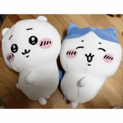 Item thumbnail for item 84635463-57f8-4fd4-a5d4-2f853c55afec