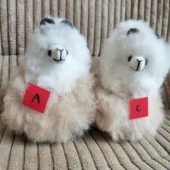 ポポちゃん様専用ページ