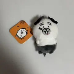 ナガノ　パグ　ハロウィン