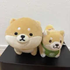 柴犬　忠犬もちしば　おまけあり