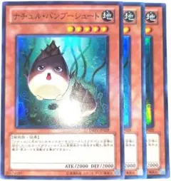 早い者勝ち！大人気！　遊戯王　ナチュルバンブーシュート　スーパーレア　3枚　初版