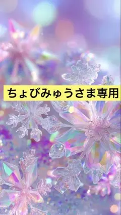 ちょびみゅう様　専用商品