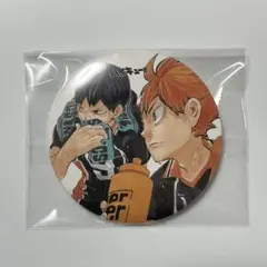 ハイキュー コレクション缶バッジ 原作 ♡ 日向翔陽 影山飛雄