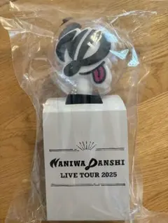 なにわ男子 ペンライト 2025 LIVETOUR BON BON VOYAGE