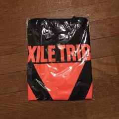 [送料無料] EXILE TRIBE Tシャツ REVOLUTION ハイタッチ