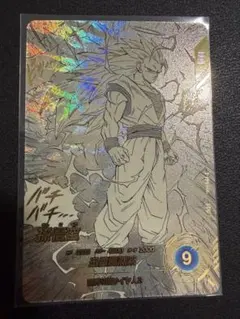 apt-006 孫悟空 パラレル