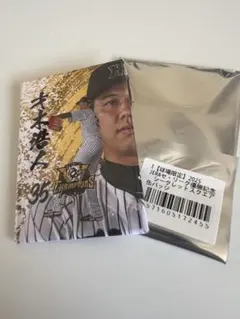 阪神タイガース 才木