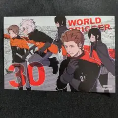ワールドトリガー 30巻 アニメイト限定特典　イラストカード