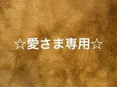 ♡愛さま専用♡リクエスト商品